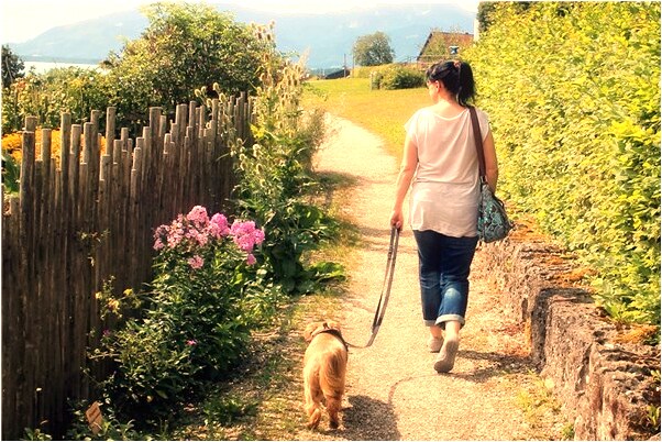 夢到去世的母親在做菜預示什麼_周公解夢官網