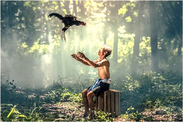 夢到了自己家的牆角壞了什麼預兆_周公解夢官網