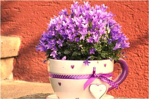 夢到得到了彩綢是什麼啟示_周公解夢官網