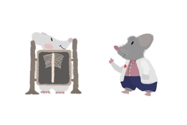 老鼠最佳配偶屬相_十二生肖