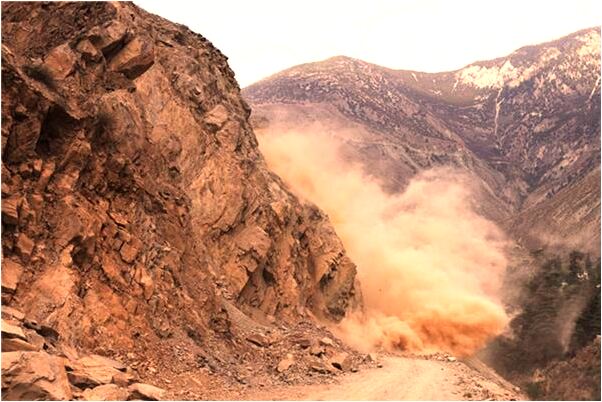 夢見懷孕時麥苗會預示什麼_周公解夢官網