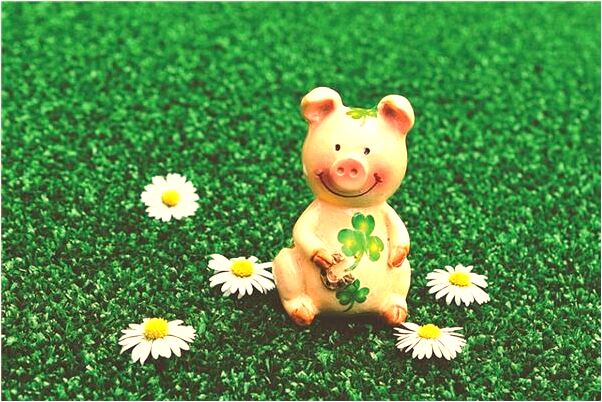 夢到登泰山極頂會怎么樣_周公解夢官網