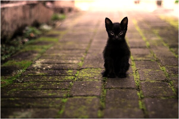 夢見生病去醫院怎么說_周公解夢官網