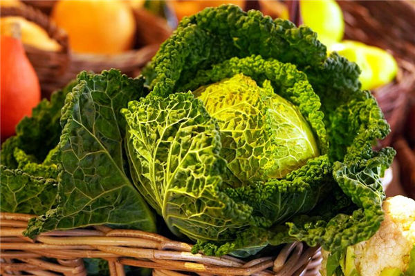 夢見菜是什麼意思_周公解夢