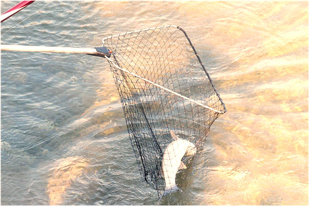 夢到了把炒鍋炒漏了預示著什麼_周公解夢官網