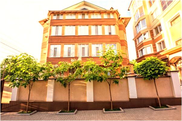 夢到了陌生女人做我老婆意味著什麼_周公解夢官網