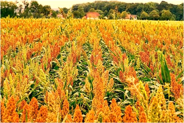 夢到了和弟弟前女友吵架打架意味什麼_周公解夢官網