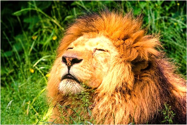 夢到了女孩戳了我次背會是什麼預兆_周公解夢官網