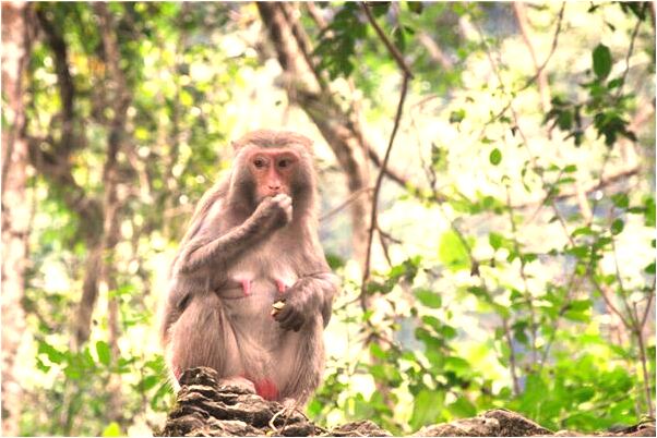 夢到了死去的鄰居說話是吉兆嗎?_周公解夢官網