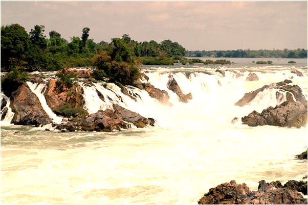 夢到了開箱荔枝卻多是龍眼是好的徵兆嗎_周公解夢官網