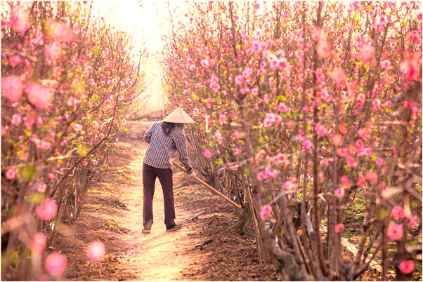 夢見茅蛆爬身有什麼寓意嗎_周公解夢官網