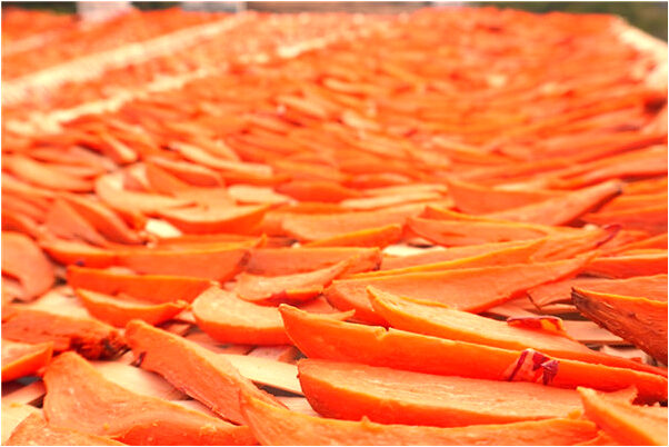 夢到了異世之世有什麼意思_周公解夢官網