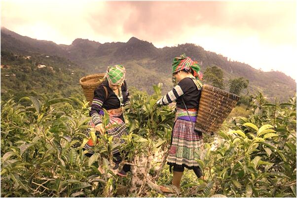 夢到了老公和小三有了男孩怎么回事_周公解夢官網