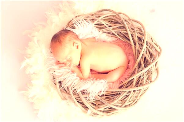 夢見滿樹銀花怎么說_周公解夢官網