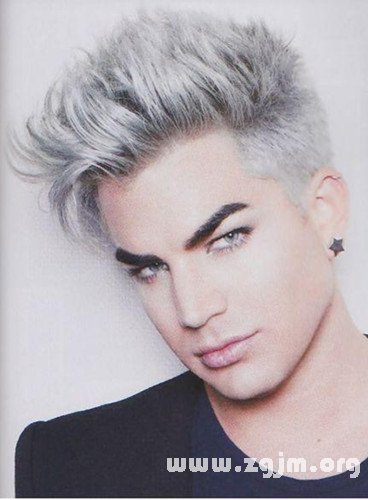 亞當·蘭伯特 中國好聲音亞當·蘭伯特個人資料_十二星座