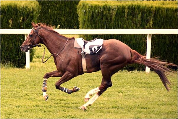 夢見撿冥幣又扔了意味著什麼_周公解夢官網