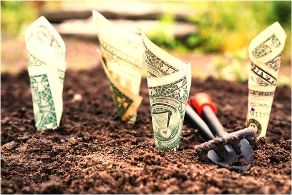 夢到了很多人過很窄的橋是什麼啟示_周公解夢官網