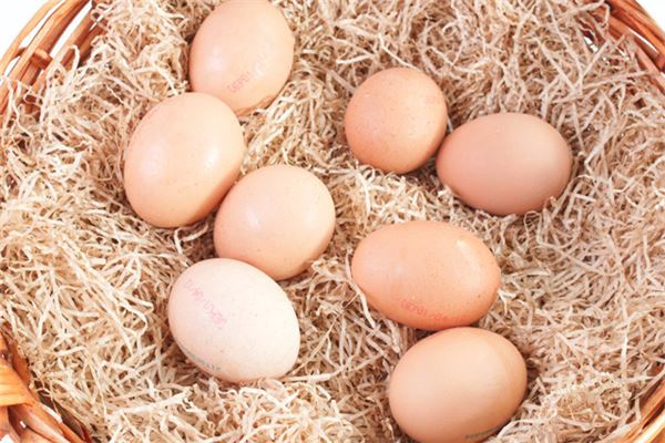 夢見拾雞蛋_周公解夢