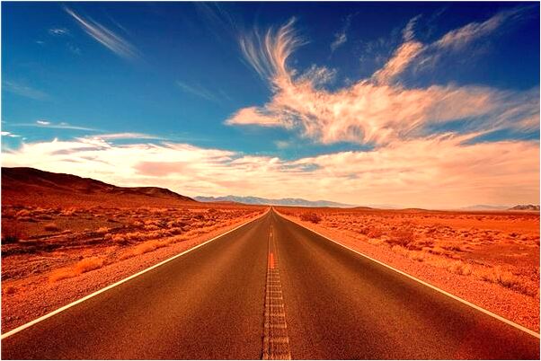 夢見白色的狗咬我的預兆_周公解夢官網