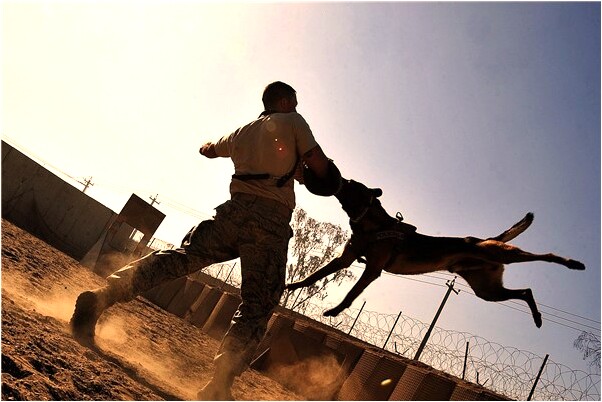 夢到了抱這著孩哭的預兆_周公解夢官網