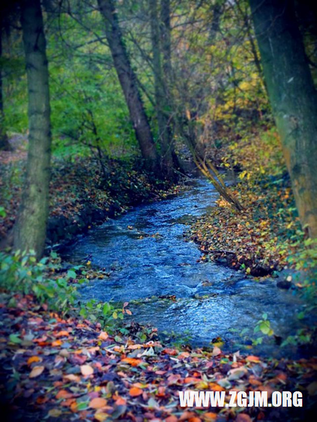 夢見死去的叔叔和我說話_周公解夢夢到死去的叔叔和我說話是什麼意思_做夢夢見死去的叔叔和我說話好不好_周公解夢官網