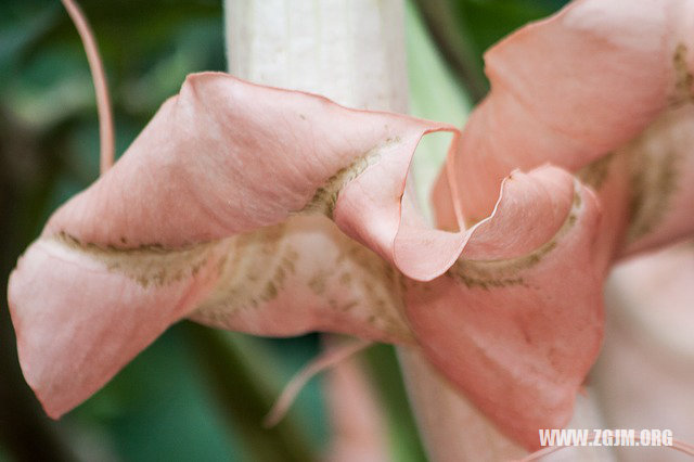 夢見自已有超能力_周公解夢夢到自已有超能力是什麼意思_做夢夢見自已有超能力好不好_周公解夢官網