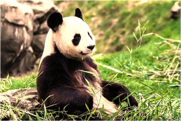 夢到了別的女人男人調戲有什麼意思嗎_周公解夢官網