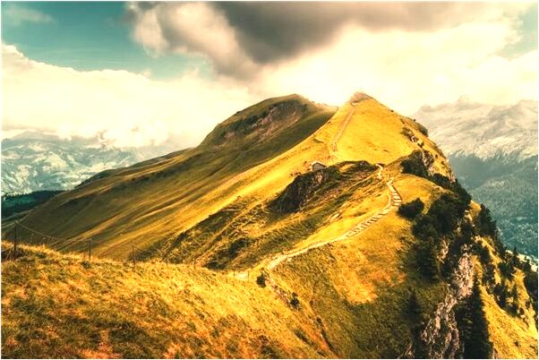 夢到了房子差點被汽車撞倒有什麼意義嗎_周公解夢官網