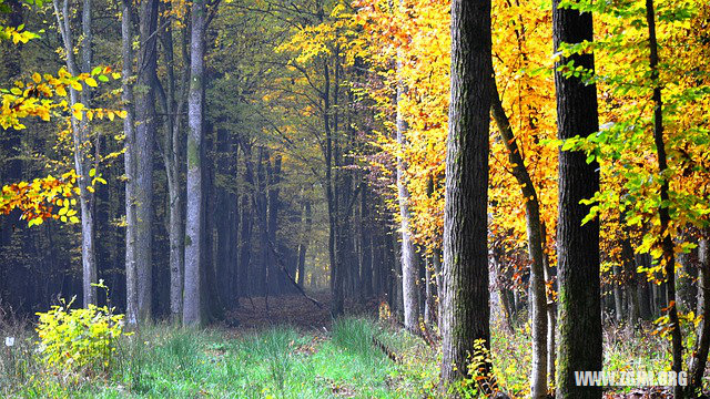 夢見小男孩裸身_周公解夢夢到小男孩裸身是什麼意思_做夢夢見小男孩裸身好不好_周公解夢官網