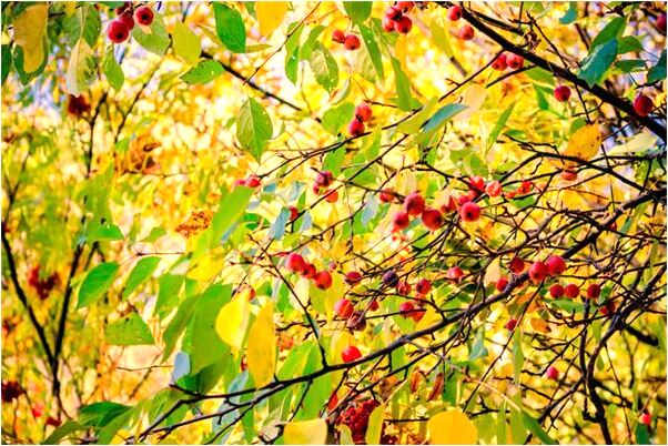 夢到黑帽紅衣男子害怕我離開會怎么樣_周公解夢官網