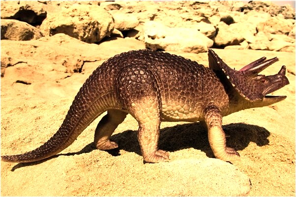 夢到和很多女人表演意味著什麼_周公解夢官網