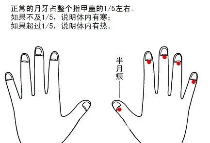 Half moon marks view health diagram 7