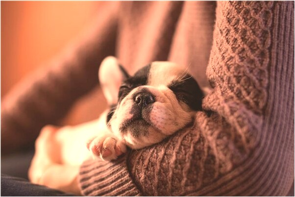 夢見親人溺水身亡啥意思_周公解夢官網