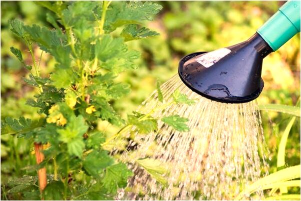 夢到了自己又生個小孩溺水了是吉兆嗎?_周公解夢官網