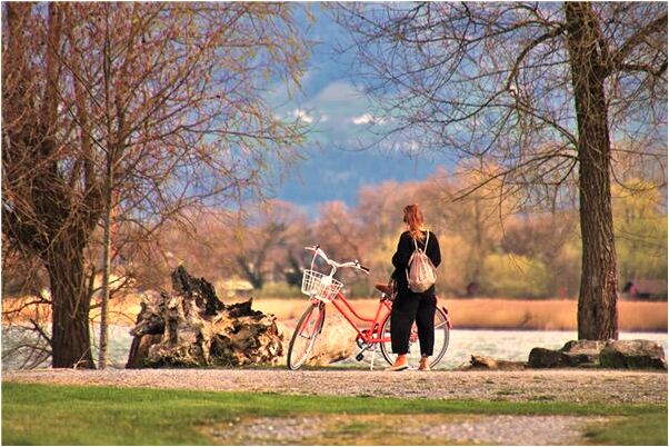 夢到棺材美女是吉兆嗎?_周公解夢官網