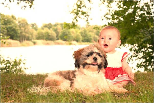 夢到了被人追趕著想破處是什麼預兆_周公解夢官網