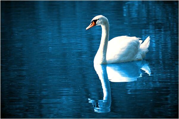 夢到我被上床了是什麼兆頭_周公解夢官網