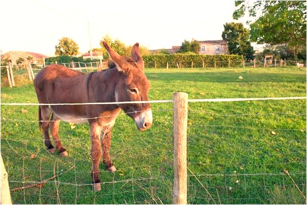 夢到人掉水裡出不來是好是壞_周公解夢官網