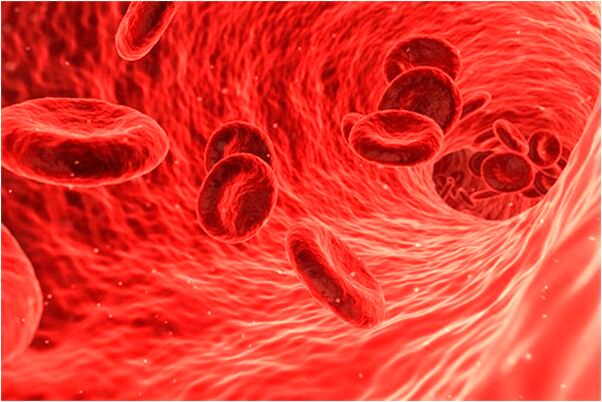 夢到了別人和自己借鞋有何寓意_周公解夢官網
