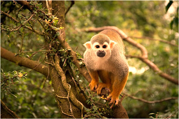 夢到了老公的好友一家辛苦工作預示什麼_周公解夢官網