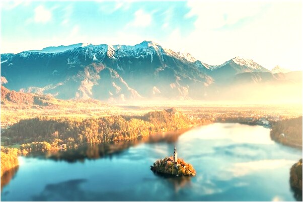 夢見過世的親人與老榆樹預示著什麼_周公解夢官網