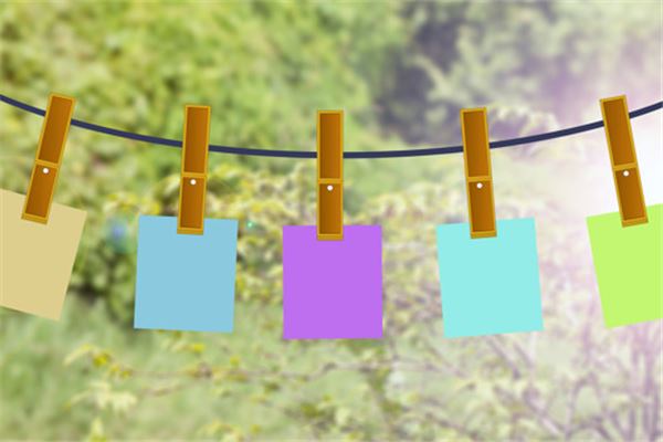 屬蛇人永遠最旺的顏色_十二生肖