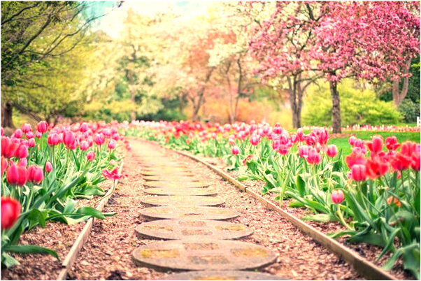 夢到了同事殺雞是什麼意思_周公解夢官網