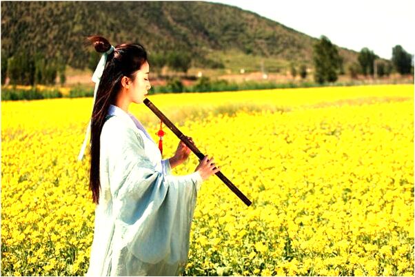 夢到鋪小塊的地板磚是什麼徵兆_周公解夢官網