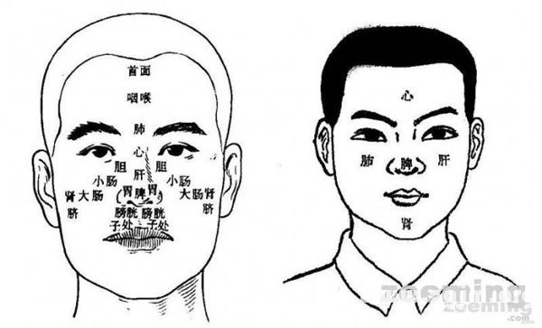 Facial and viscera corresponding diagram