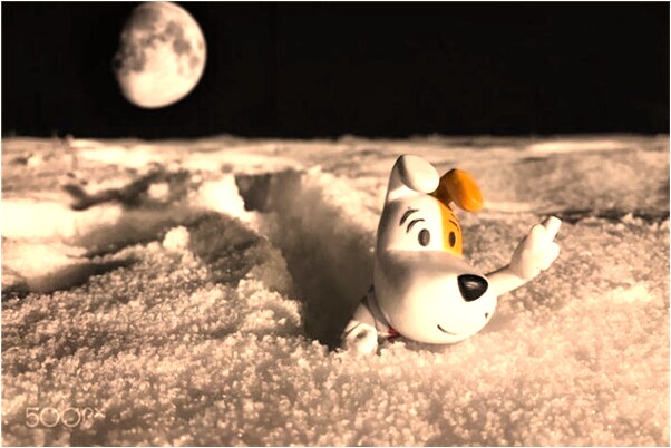 夢見小孩屎占身代表著什麼？_周公解夢官網