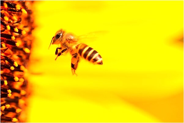 夢到了別的女孩來找男朋友是吉兆嗎?_周公解夢官網