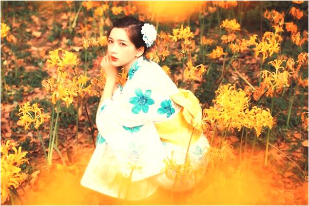 夢到一隻小羊同事把它抱回來會有什麼預兆_周公解夢官網