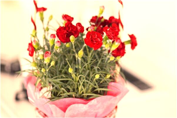 夢到自己生了可愛的兒子會怎么樣_周公解夢官網