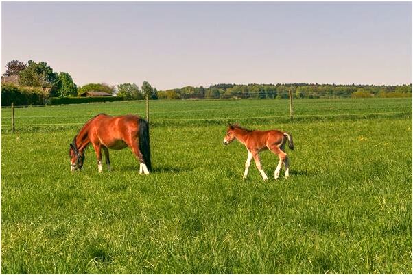 夢到了天上戰鬥機自己和身邊的人是什麼意思？_周公解夢官網